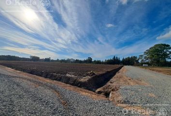 Terrenos en  Arturo Seguí, Partido De La Plata