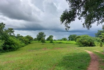 Rancho en  La Palma, Acayucan