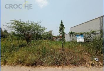 Lote de Terreno en  El Lencero, Municipio De Emiliano Zapata (veracruz)