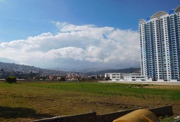 Lote de Terreno en  San Ignacio, Centro Histórico, Tunja