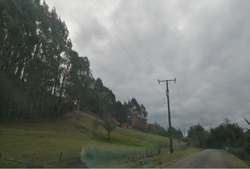 Parcela en  Ancud, Chiloé