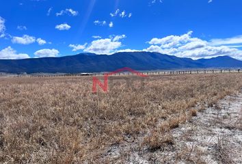 Lote de Terreno en  Arteaga, Arteaga, Arteaga, Coahuila