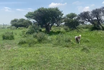 Lote de Terreno en  Calle Poniente Dos, Tepeji Del Río De Ocampo, Hidalgo, 42884, Mex