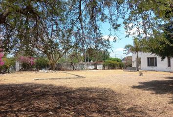 Lote de Terreno en  Calle 20 200c, García Ginerés, Mérida, Yucatán, 97070, Mex