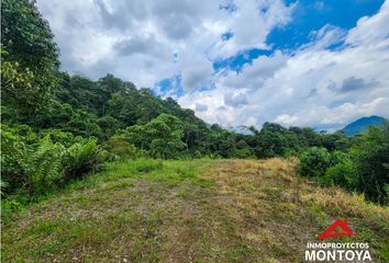 Lote de Terreno en  La Pradera, Dosquebradas