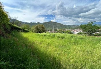 Lote de Terreno en  Pueblo Nuevo, Vijes