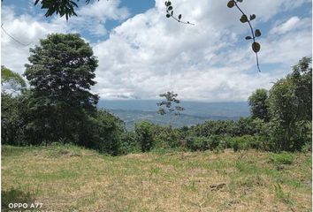 Lote de Terreno en  Ladrilleros, Buenaventura