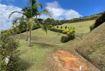 Lote de Terreno en  San Andrés De Cuerquia, Antioquia