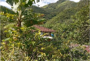 Villa-Quinta en  La Romelia Alta Y Baja, Dosquebradas