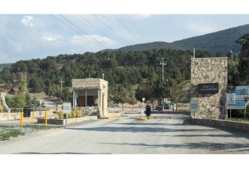 Lote de Terreno en  Arteaga, Arteaga, Arteaga, Coahuila