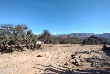 Lote de Terreno en  Tierra Nueva, San Luis Potosí, Estado San Luis Potosí