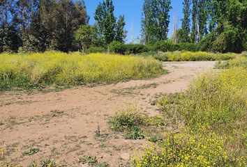 Parcela en  San Fernando, Colchagua