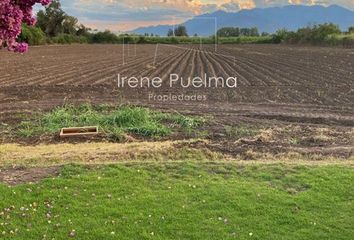 Parcela en  Paine, Maipo