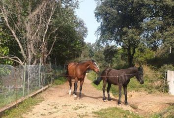 Chalet en  Grions, Girona Provincia