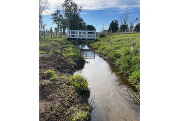 Parcela en  Gorbea, Cautín