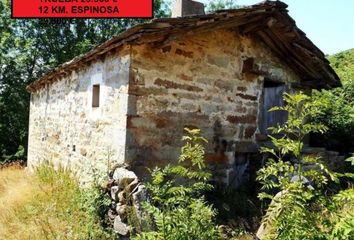 Chalet en  Espinosa De Los Monteros, Burgos Provincia