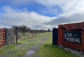 Parcela en  San Nicolás, Ñuble (región)