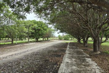 Lote de Terreno en  Los Volcanes, Colima