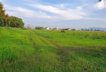 Lote de Terreno en  Lázaro Cárdenas, Zamora