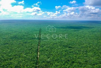 Lote de Terreno en  Calle 12 Bis N 4, Centro, Playa Del Carmen, Solidaridad, Quintana Roo, 77710, Mex