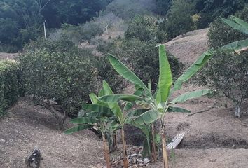 Lote de Terreno en  Centro, Manizales