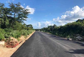 Lote de Terreno en  97347, Kantoyna, Yucatán, Mex