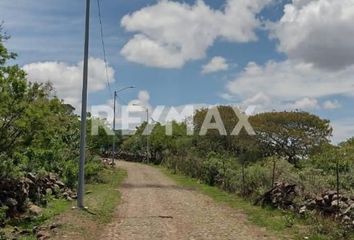 Lote de Terreno en  La Palmita, San Miguel De Allende