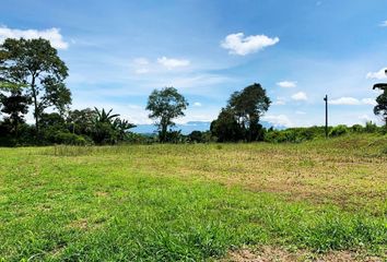 Lote de Terreno en  El Jardín, Pereira