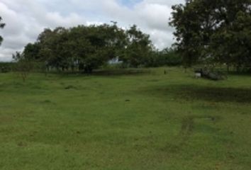 Lote de Terreno en  El Jardín, Pereira