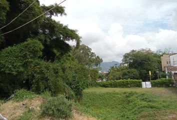 Lote de Terreno en  Los Alamos, Pereira