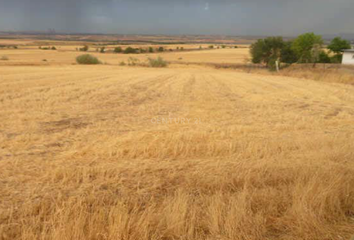 Terreno en  Cobeña, Madrid Provincia