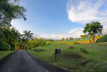 Lote de Terreno en  Cerritos, Pereira