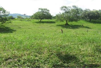 Lote de Terreno en  Cuba Cuba, Pereira