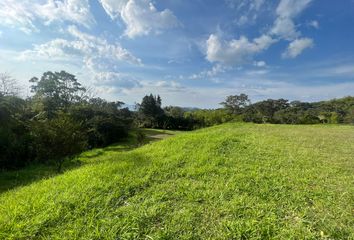 Lote de Terreno en  Centro, Pereira