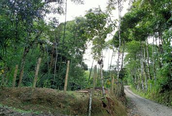 Lote de Terreno en  La Pradera, Dosquebradas