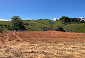 Lote de Terreno en  Cerritos, Pereira