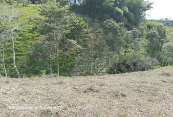 Lote de Terreno en  Alcalá, Valle Del Cauca