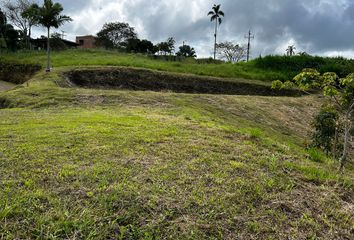 Lote de Terreno en  Centro, Pereira