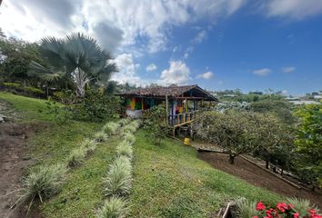 House for rent in Centro, Pereira