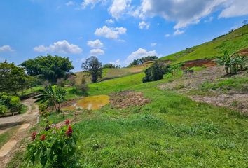 Lote de Terreno en  La Romelia Alta Y Baja, Dosquebradas