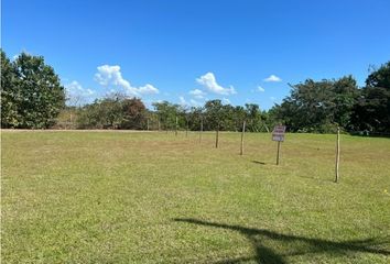 Lotes y Terrenos en  Santa Clara, Antón