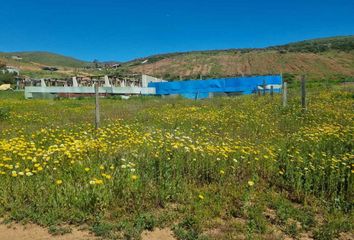 Lote de Terreno en  Canyon San Carlos, Ensenada