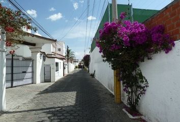 Lote de Terreno en  Calle Antiguo Camino Real A Cholula, Colonia Santa Cruz Guadalupe, Heróica Puebla De Zaragoza, Puebla, 72154, Mex