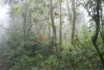 Lote de Terreno en  San Fernando, Chiapas