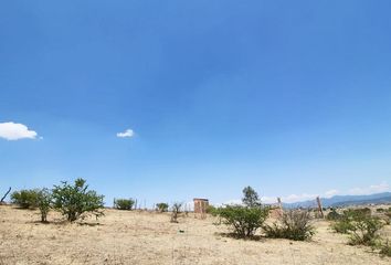 Lote de Terreno en  Privada Los Pirules, Morelia, Michoacán De Ocampo, 58302, Mex