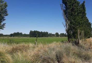 Terrenos en  Senillosa, Neuquen