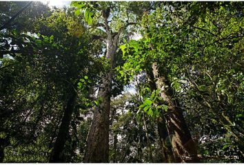 Casa en  Yurimaguas, Alto Amazonas