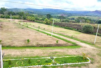 Terreno en  Cacatachi, San Martin