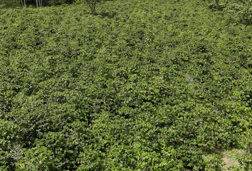 Lote de Terreno en  Morales Cauca, Cauca