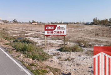 Terrenos en  Calle Dasso Santiago 2261-2301, Bahía Blanca, Provincia De Buenos Aires, Arg